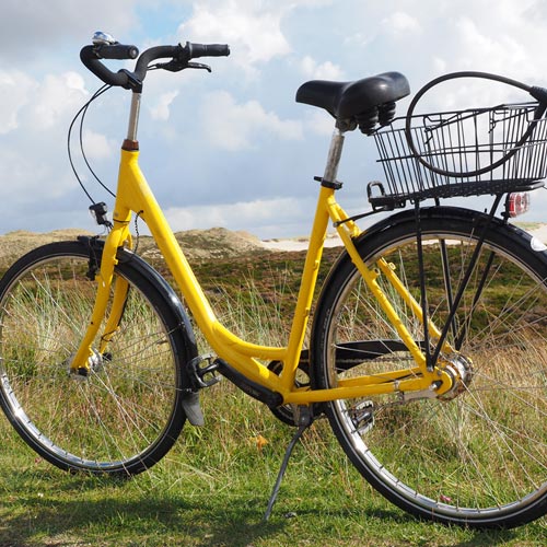 Mobilité écologique